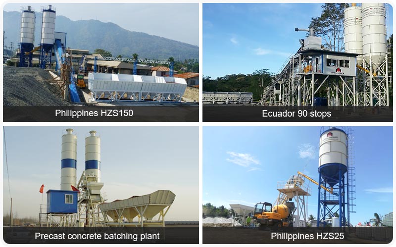 Cases Of Daswell Concrete Batching Plant