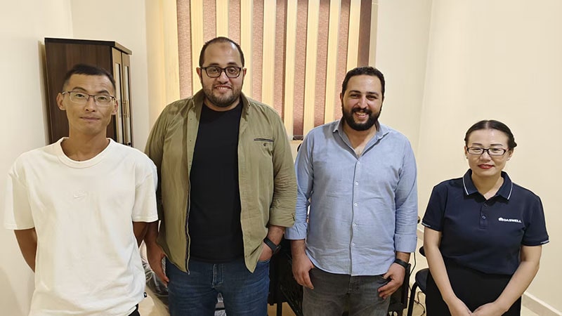 daswell employees in egypt
