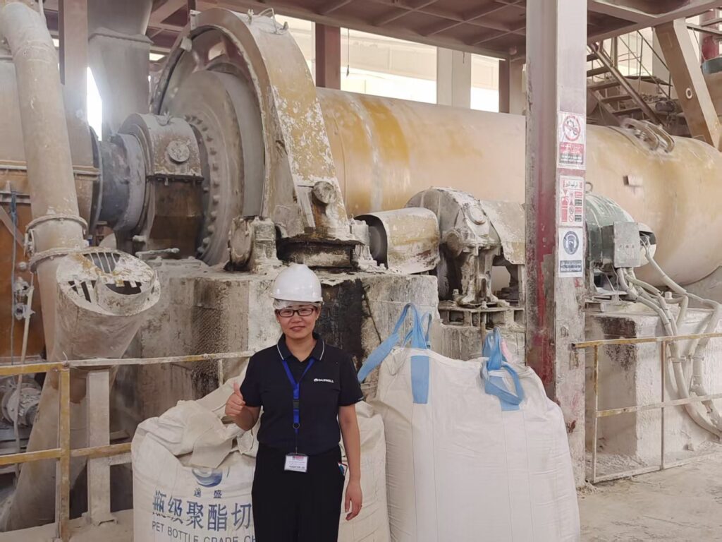 DASWELL in Egypt 15 group photo with egyptian clients 3